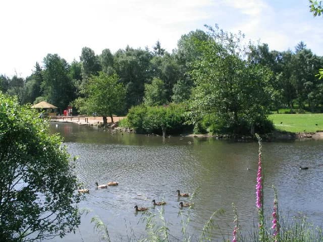 Golden Acre Park: A Natural Oasis in the Heart of Leeds