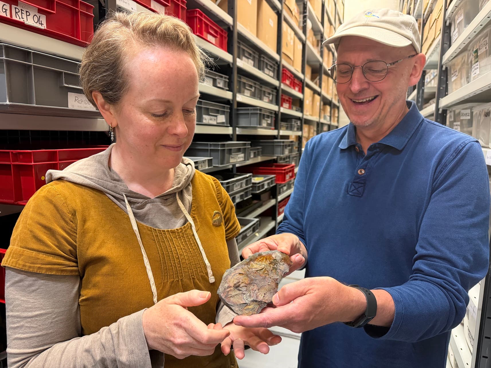 Rare 320-Million-Year-Old Fish Fossil Discovered at Roundhay Park